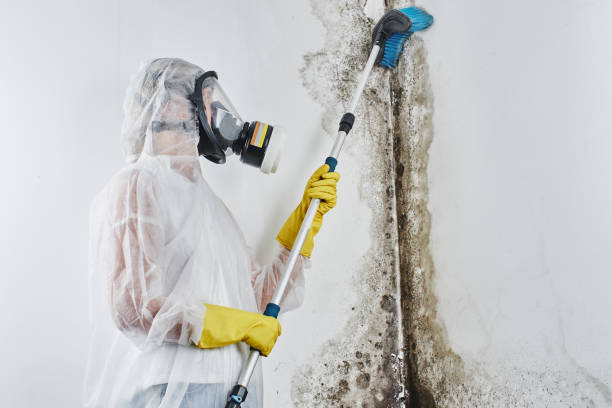 Best Mold Testing  in Peabody, MA