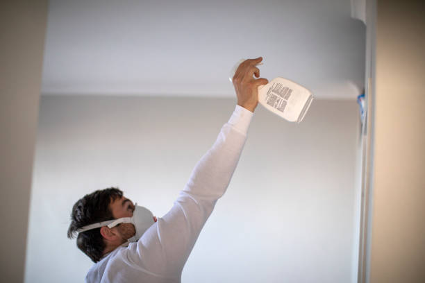 Best Mold Testing  in Peabody, MA
