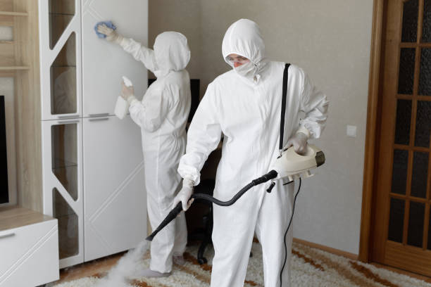 Best Home Mold Removal  in Peabody, MA