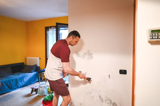 Best Fast Mold Removal  in Peabody, MA